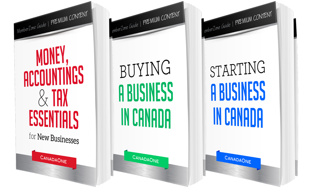 Premium Digital Business Books